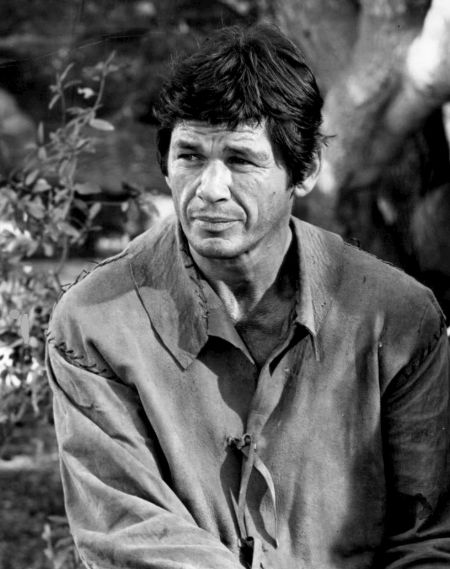 Charles Bronson in a grey shirt poses a photo for a shoot.